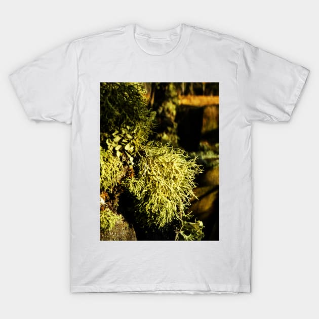 A Lichen Lunch T-Shirt by PictureNZ